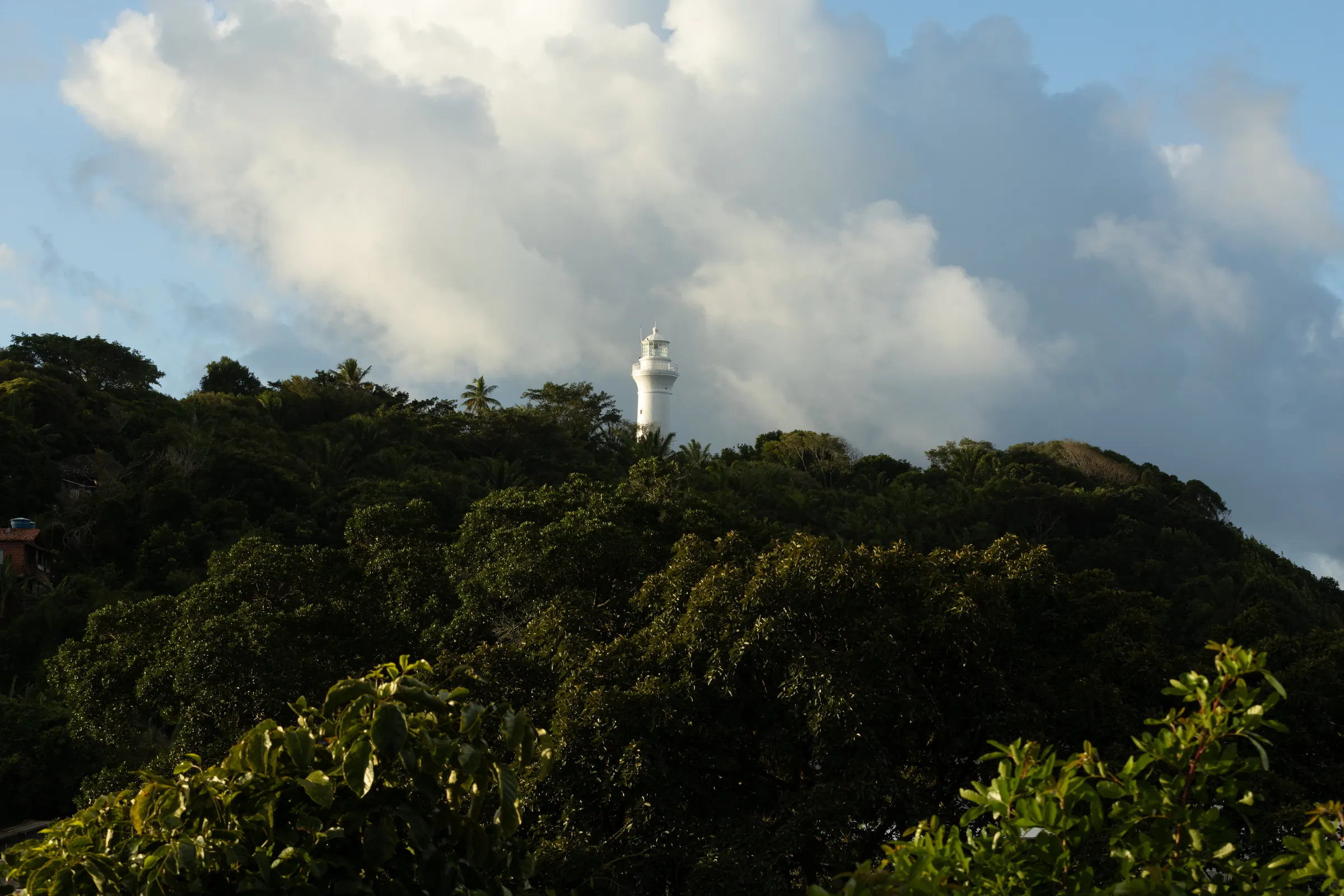Farol branco despontando acima da mata sob nuvens
